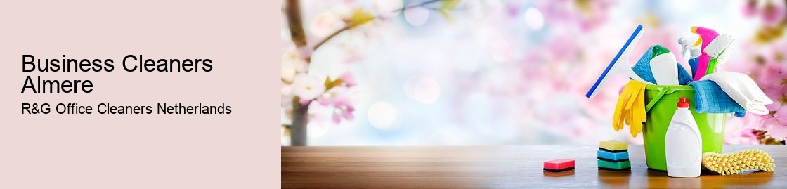 Business Cleaners Almere