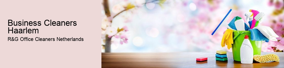 Business Cleaners Haarlem