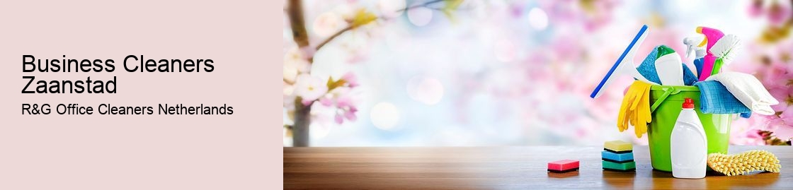 Business Cleaners Zaanstad