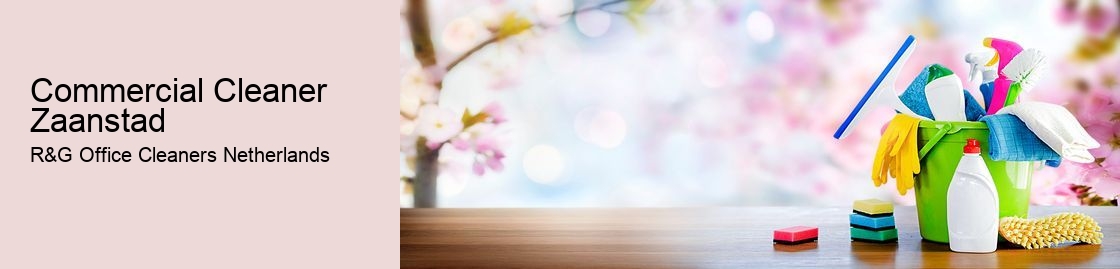 Commercial Cleaner Zaanstad