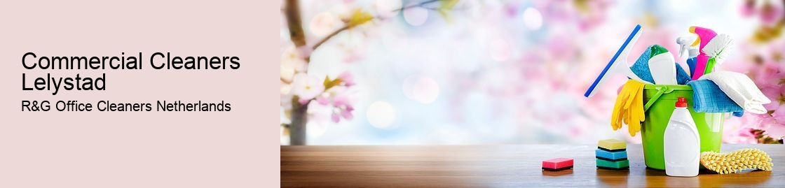 Commercial Cleaners Lelystad